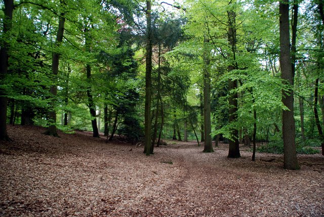 landgoed zevenberg_69